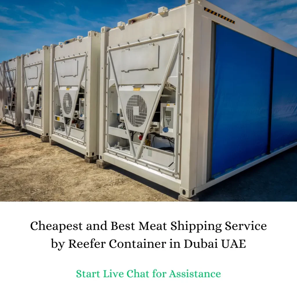 Cheapest and Best Meat Shipping Service by Reefer Container in Dubai UAE